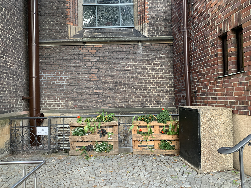 In einer Nische seitlich der Sankt Antoniuskirche sind 2 Platten mit Pflanzen bepflanzt worden.