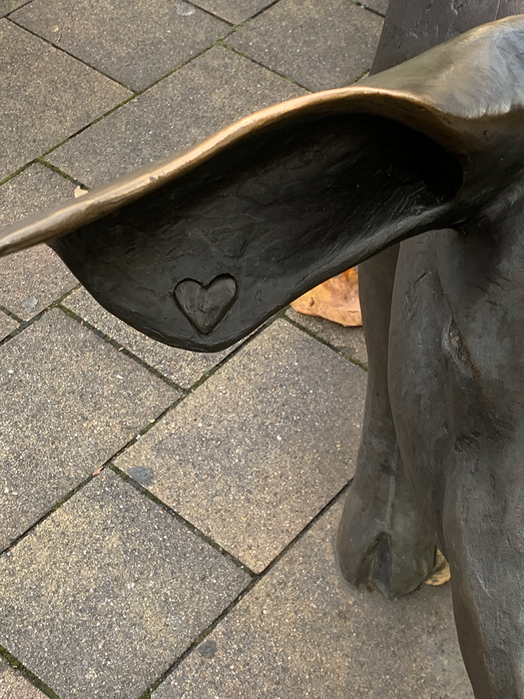Im jeweils rechten Ohr der Bronezschweine hat der der Künstler ein Herz eingearbeitet, hier das Ohr mit dem Herzen zu sehen