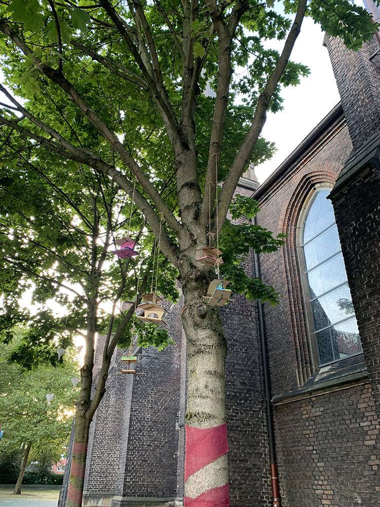 Blick auf einen Baum mit an Seilen hängenden Vogelhäusern, im Hintergrund die Antoniuskirche
